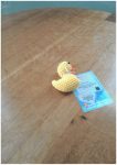 Photo of Thelma the duck, knitted by Lisa from the Renal Dialysis department