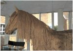 Photo of One of the knitted ducks hidden in the horse’s mane at the hospital